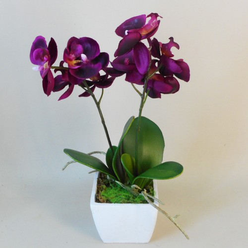 Mini Artificial Phalaenopsis Orchid Plant In White Pot Ivory Artificial Plants 2336